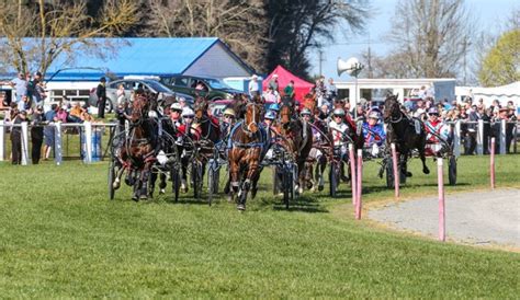 hrnz fields|News .